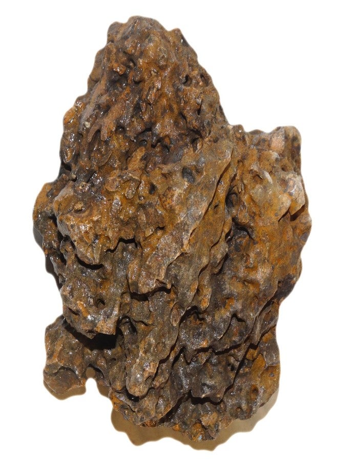 Maalavya Lava Rock 3kg for |Aquarium Decoration|Reef Tank Setup|Garden Decor|Water Stone Pebbles. - Image 2